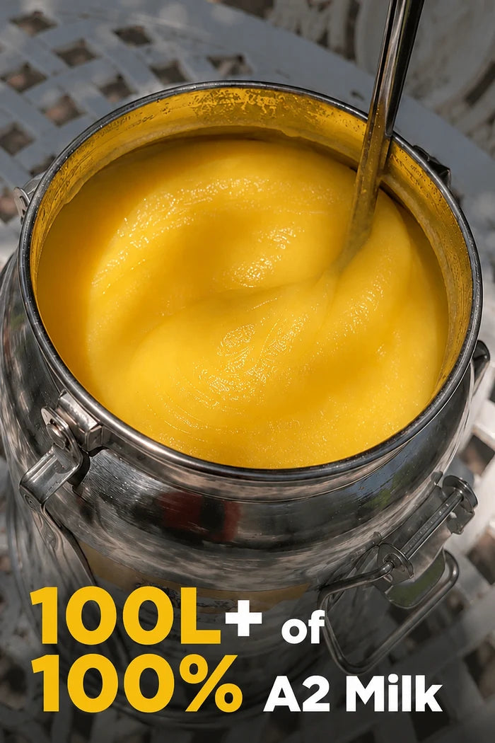 Cow A2 Vedic Desi Ghee Dolchi 5L .