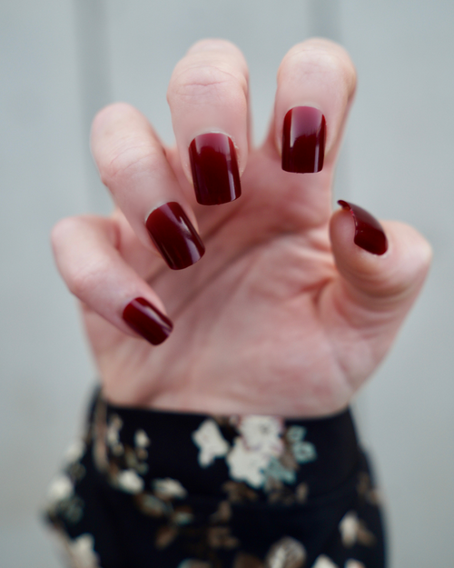 Cozy Cranberry