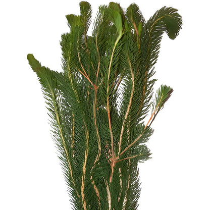 Wedding greenery curly pine filler flowers sold near me