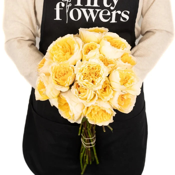David Austin Effie Ausgrey Garden Rose Apron - Image