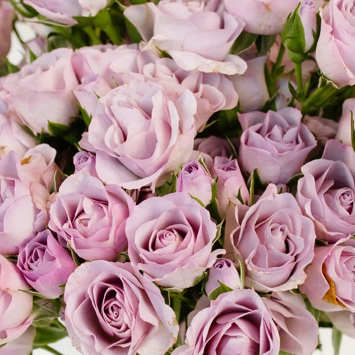 Delicate Lavender Spray Garden Rose Apron - Image