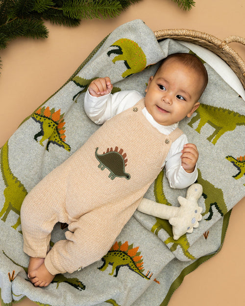 Dino Applique Baby Knit Overall Set (Organic Cotton)