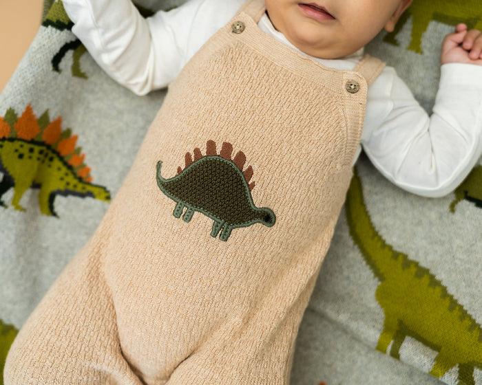 Dino Applique Baby Knit Overall Set (Organic Cotton)