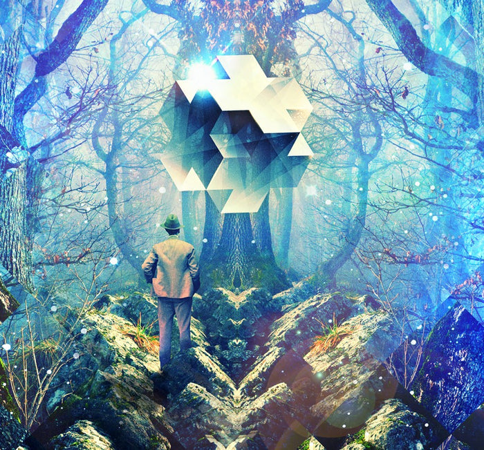 Discovery Art Print