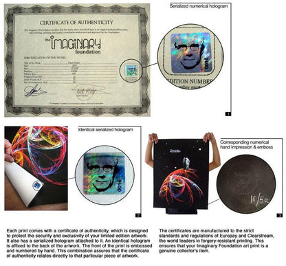 Discovery Art Print