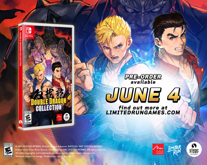 Double Dragon Collection (Switch)