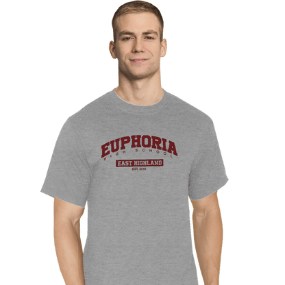 Secret_Shirts T-Shirts, Tall / Large / Sports Grey Euphoria High School