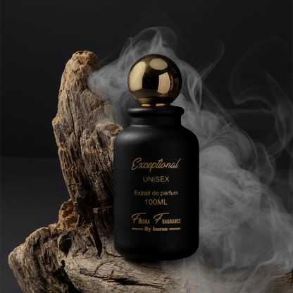 EXCEPTIONAL Inspired By: LV Omber Nomade