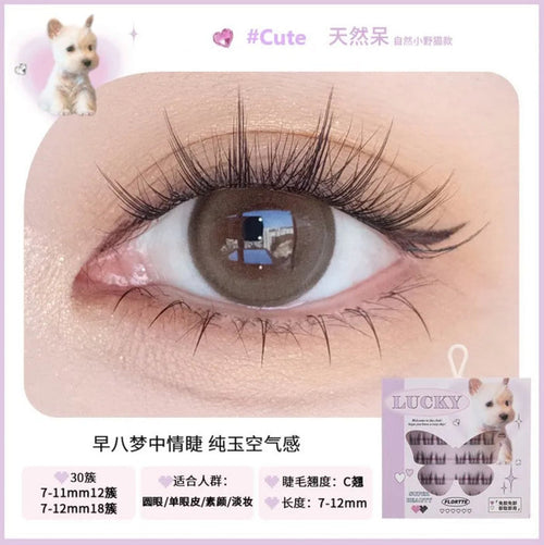 FLORTTE - False Eyelashes - Cute