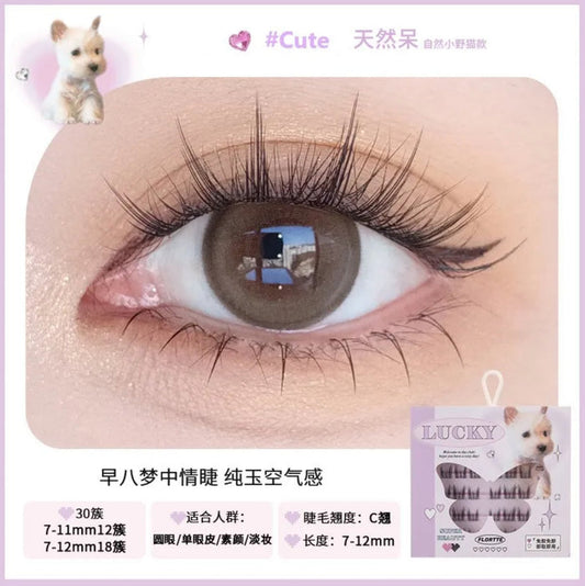 FLORTTE - False Eyelashes - Cute