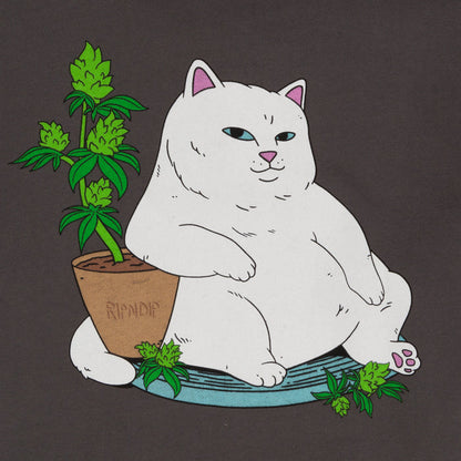 RIPNDIP Flower Boy Hoodie (Charcoal)