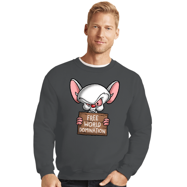 Crewneck Sweater, Unisex / Small / Charcoal