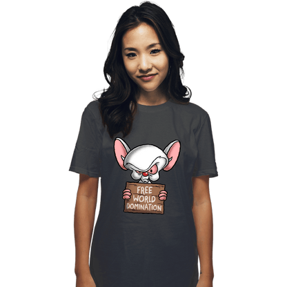 Daily_Deal_Shirts T-Shirts, Unisex / Small / Charcoal Free World Domination