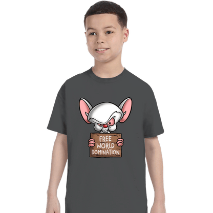 Daily_Deal_Shirts T-Shirts, Youth / XS / Charcoal Free World Domination