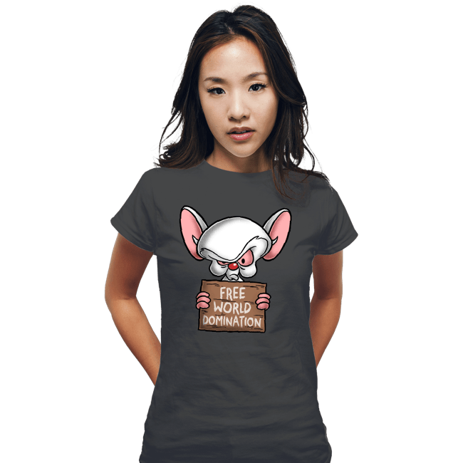 Fitted Shirts, Woman / Small / Charcoal
