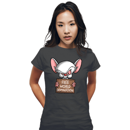 Fitted Shirts, Woman / Small / Charcoal