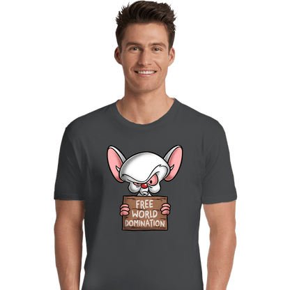 Premium Shirts, Unisex / Small / Charcoal