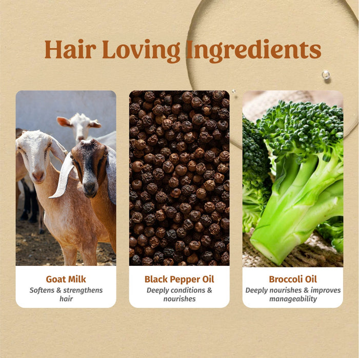 ingredients of frizz free hair combo