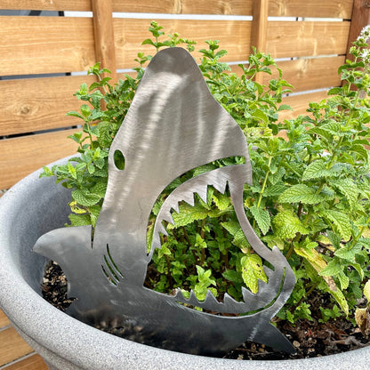 Garden Shark