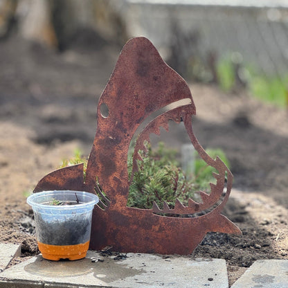Garden Shark