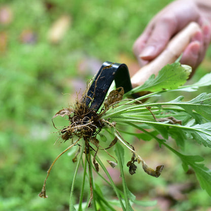 Garden Tool Weeding And Seedling Rooting Device