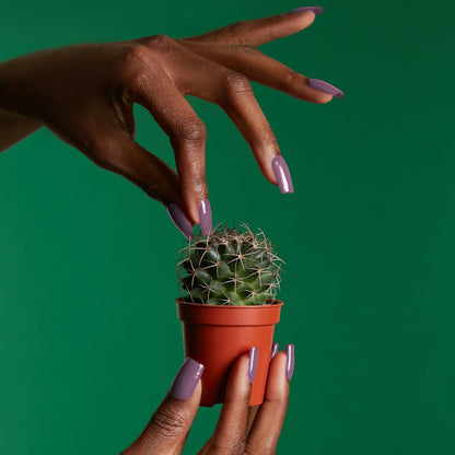 Gel Polish - In The Air