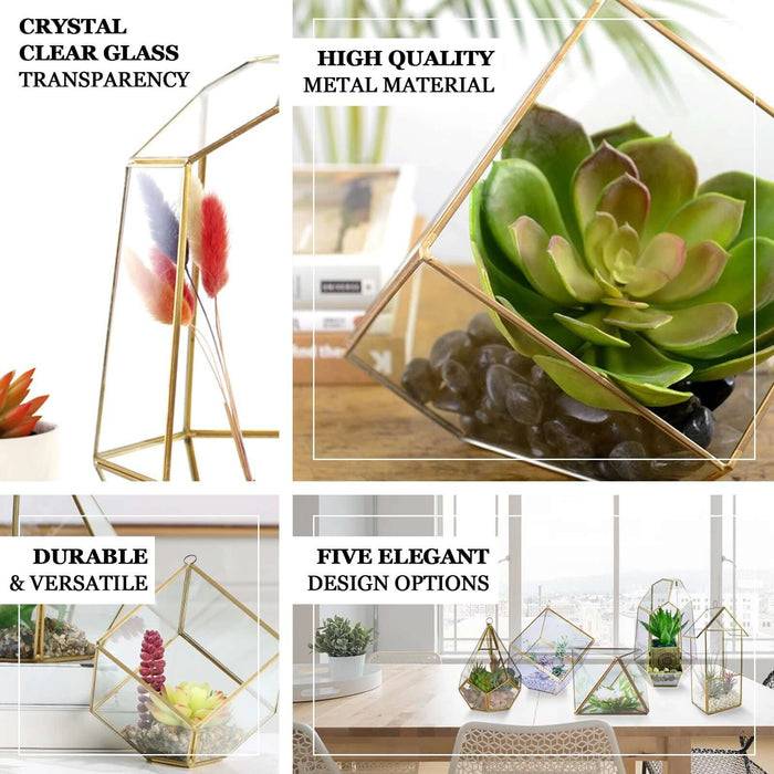 Elegant geometric terrarium with succulent plants and crystal clear glass.