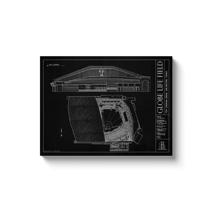 Globe Life Field 18x24" Canvas Wrap - Black