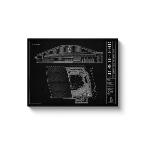 Globe Life Field 18x24" Canvas Wrap - Black