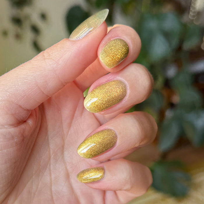 Fingernails painted with Golden Velvet - Gel showing rich golden bronze magnetic polish with subtle shimmer manicure effect