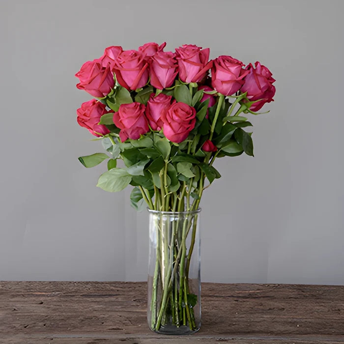 Grace Kelly Hot Pink Roses