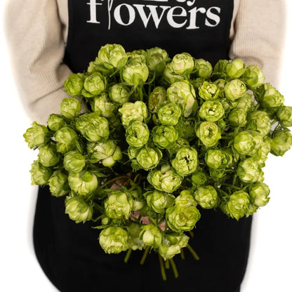 Princess Midori Spray Roses Apron - Image