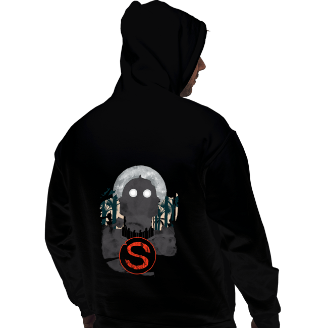 Pullover Hoodies, Unisex / Small / Black