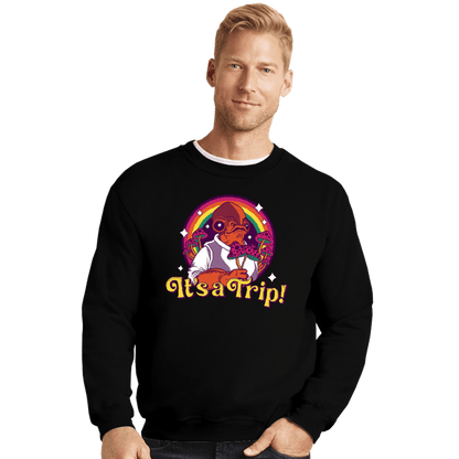 Crewneck Sweater, Unisex / Small / Black