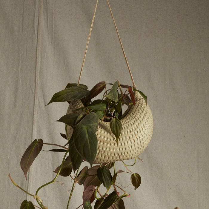 Katerina Planter Collection