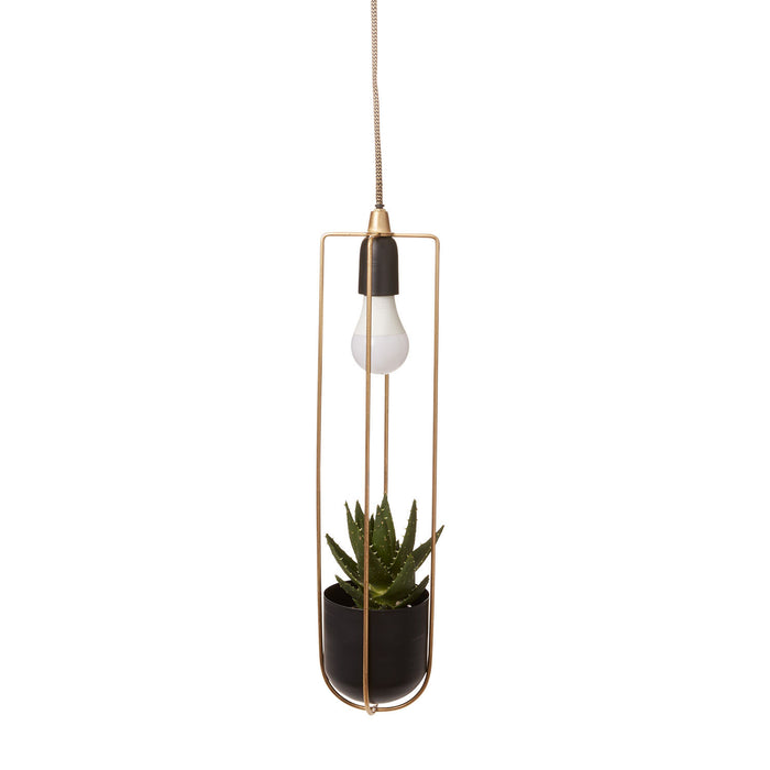Kol Hanging Planter Lamp