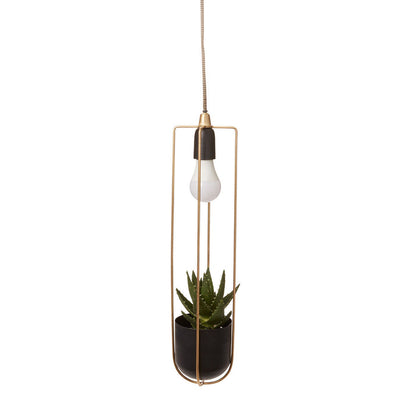 Kol Hanging Planter Lamp