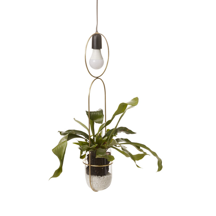 Kol Hanging Planter Lamp