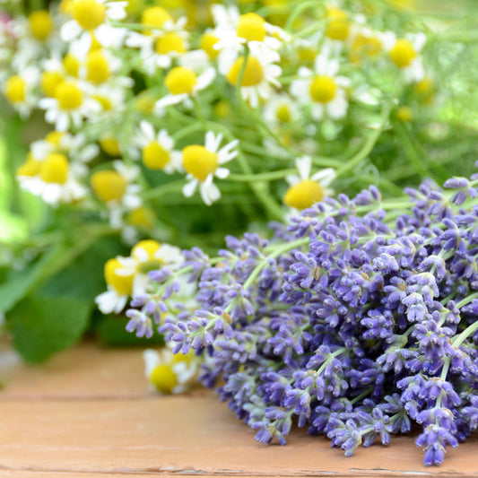 Lavender Chamomile Fragrance Oil 857