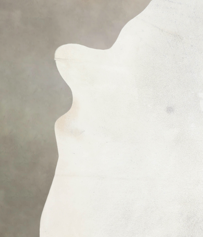 Light Grey Cowhide Rug #A26021