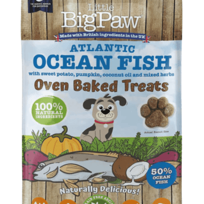White background with a close up of a packet of Little BigPaw 'Atlantic Ocean Fish with sweet potato, pumpkin, coconut oil and mixed herbs' dog treats. Pictured on the packet is an illustration of a grey dog with a fish, a pumpkin, sweet potatoes and a coconut in the foreground. Text on the bag says 'Oven Baked Treats, 100% natural ingredients, Naturally delicious! 50% ocean fish'.
