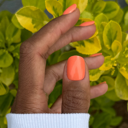 Lobster | Extra Short | Squoval - Tab Press-On nails in vibrant orangey red pink shown on hand with green leaves background