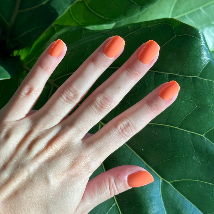 Lobster | Extra Short | Squoval - Tab Press-On nails in bright orangey red pink on hand over large green leaves background