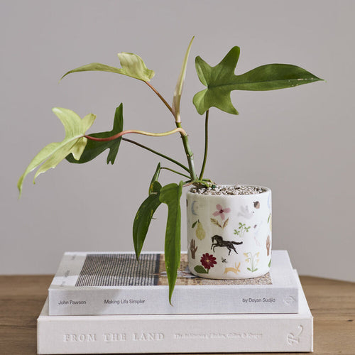 Lucky Icon Planter Pot