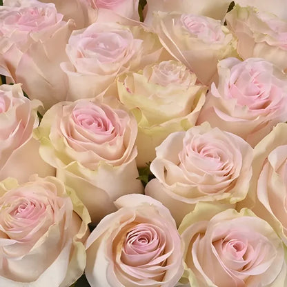 Marzipan Candy Roses Vase - Image