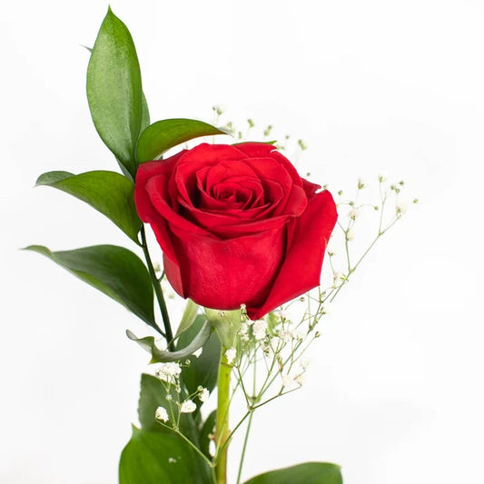 Fundraiser Red Flower Stem