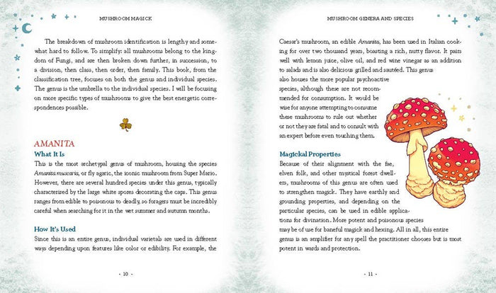 Mushroom Magick By Shawn Engel