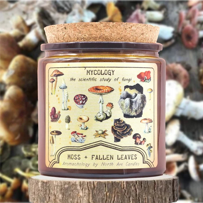 Mushroom Mycology Moss & Fallen Leaves Scented Jar Candle