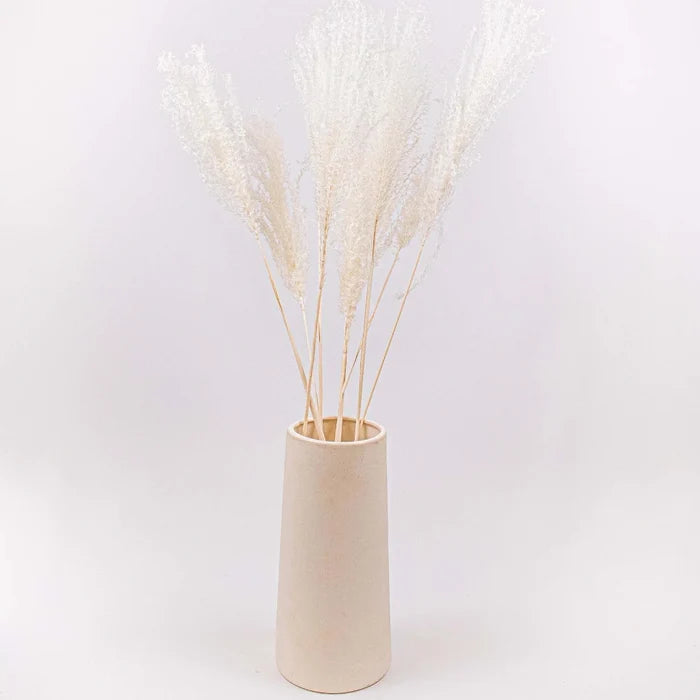 Dried Bleached Miscanthus Flower Bunch in Vase