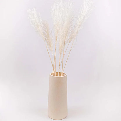 Dried Bleached Miscanthus Flower Bunch in Vase